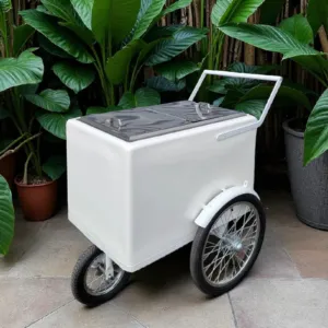 Tall Standard size Popsicle cart, Paleta Cart, Ice Cream Cart with XL reinforced flip door, bicycle tires, fenders all white