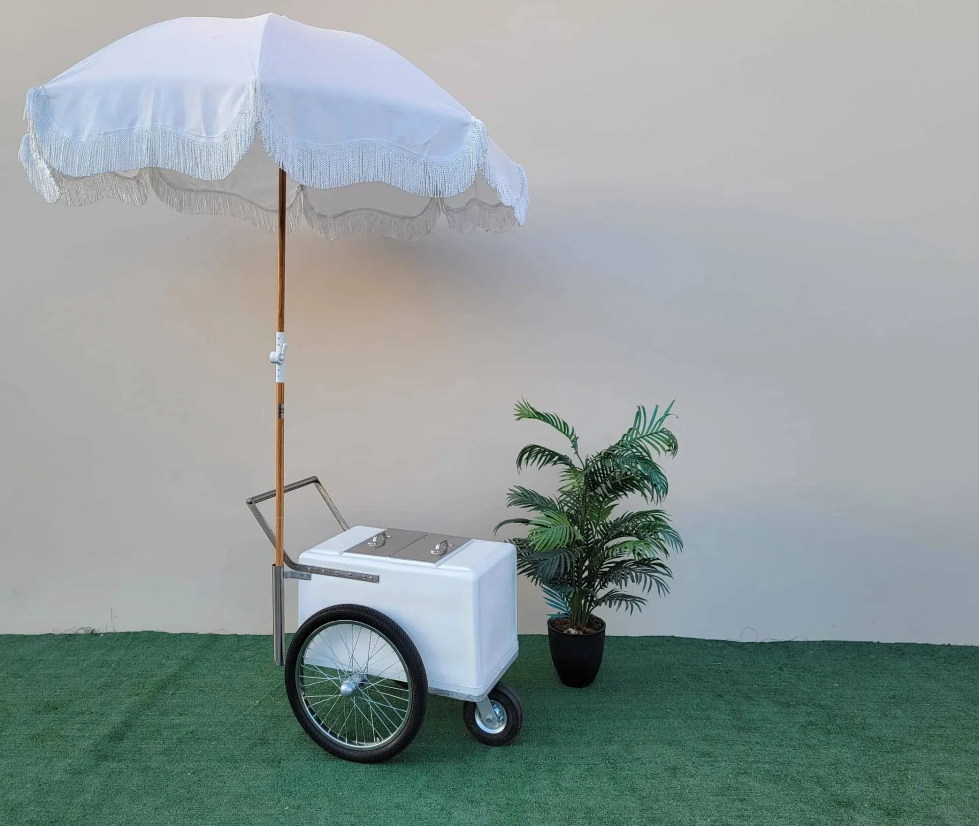 Small Size Popsicle Cart with Bicycle Tires – Mobile & Versatile