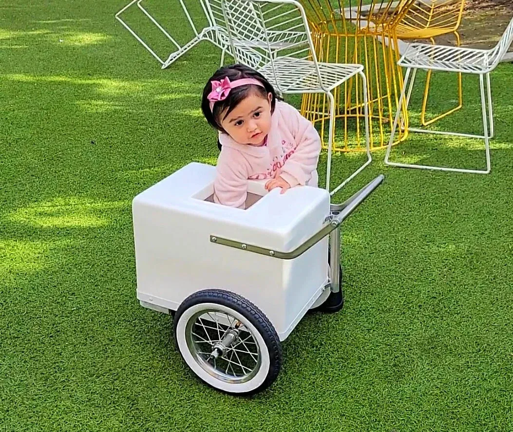 Baby Size Popsicle Cart with all black Bicycle Tires – Compact & Versatile - Image 11