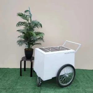 Standard White Popsicle Cart with 3 openings, Bicycle Tires & white Trim