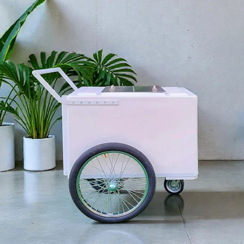 Standard Popsicle Cart with White Painted Trim – Compact & Versatile