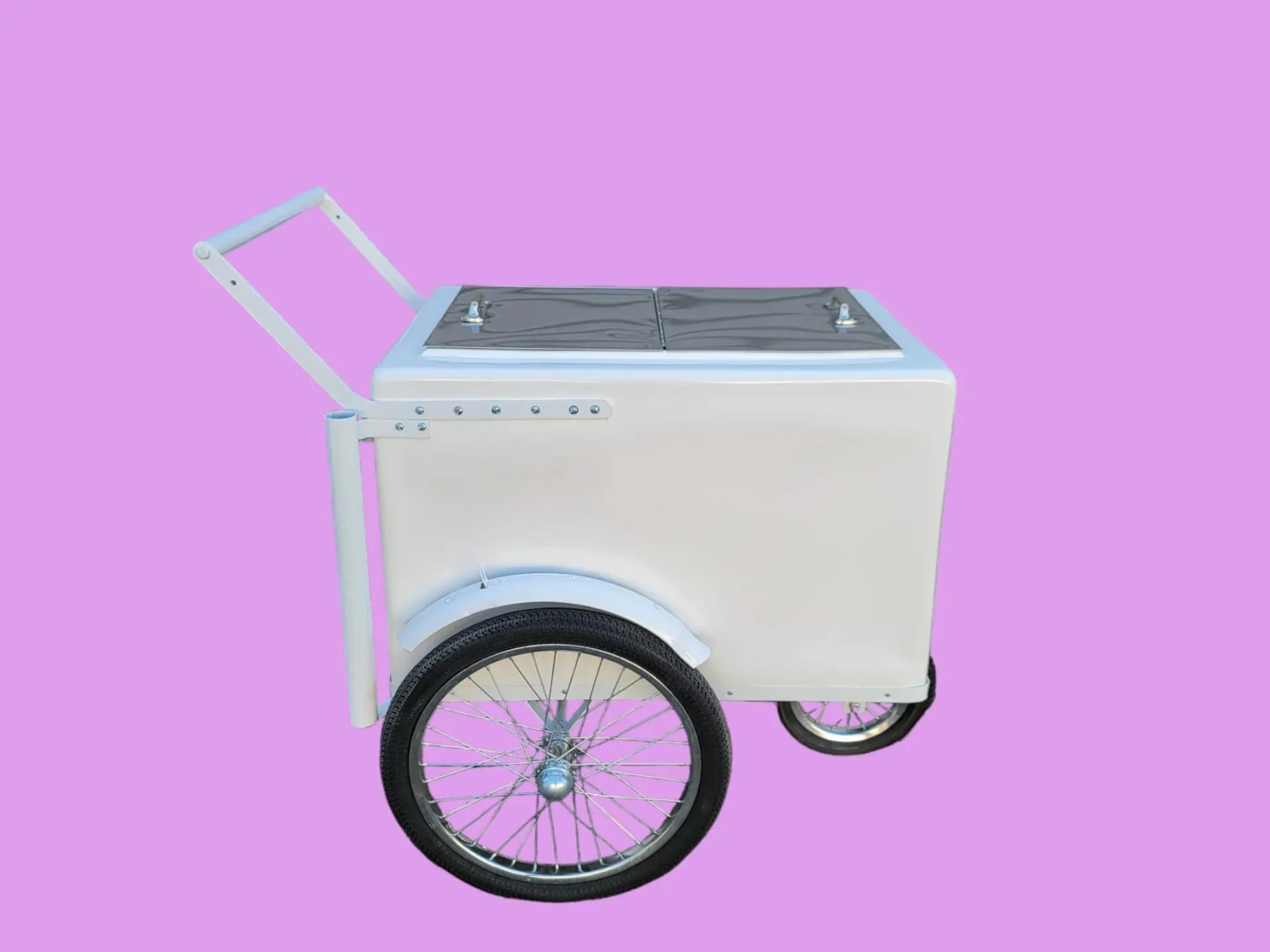 Standard Size Popsicle Cart with XL Door & Sleek White Trim