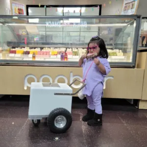 Baby Size Classic Popsicle Cart – Compact & Stylish Frozen Treat Cart