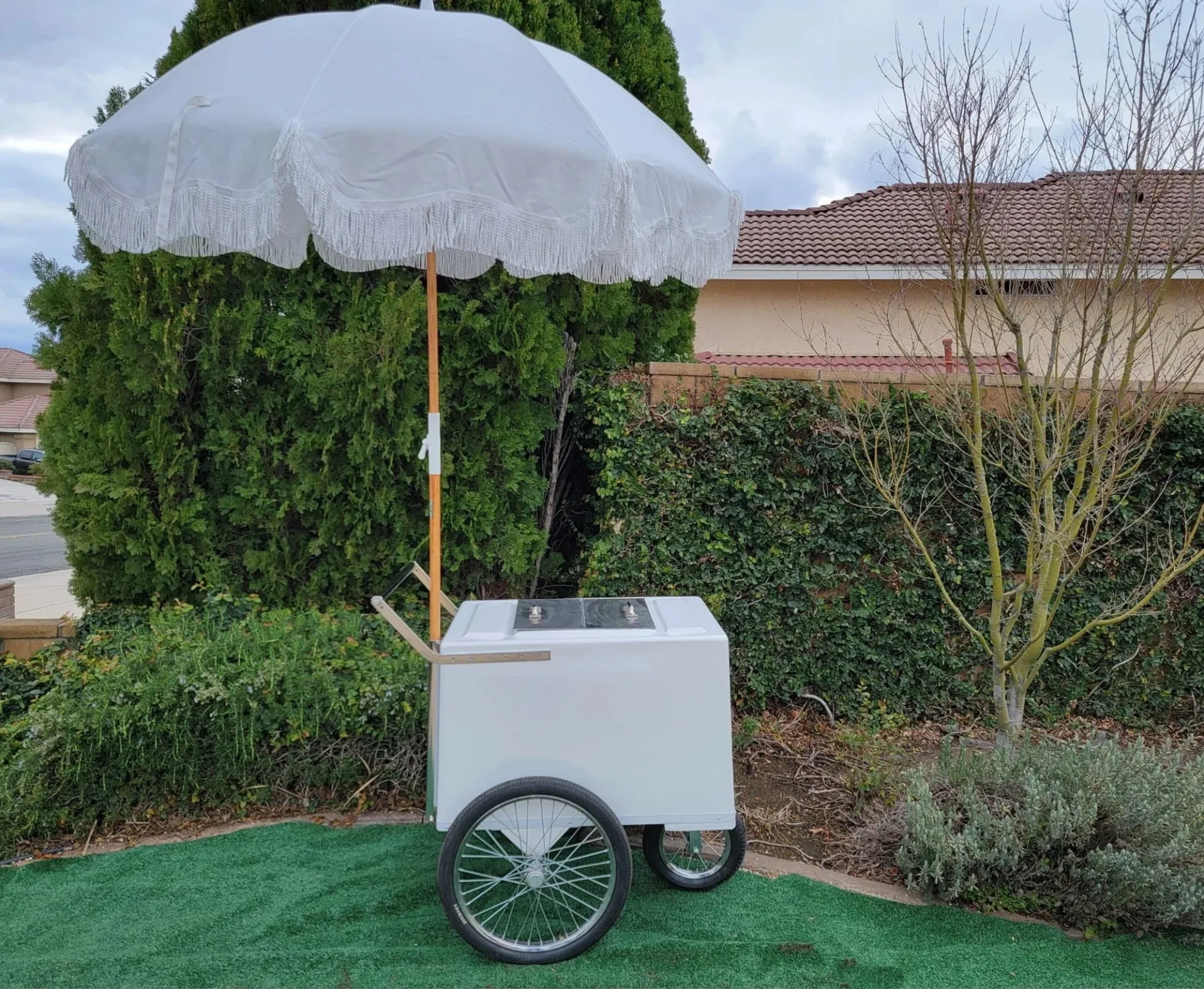 Tall Standard Popsicle Cart with Bicycle Tires & Sleek Chrome Trim - Image 4