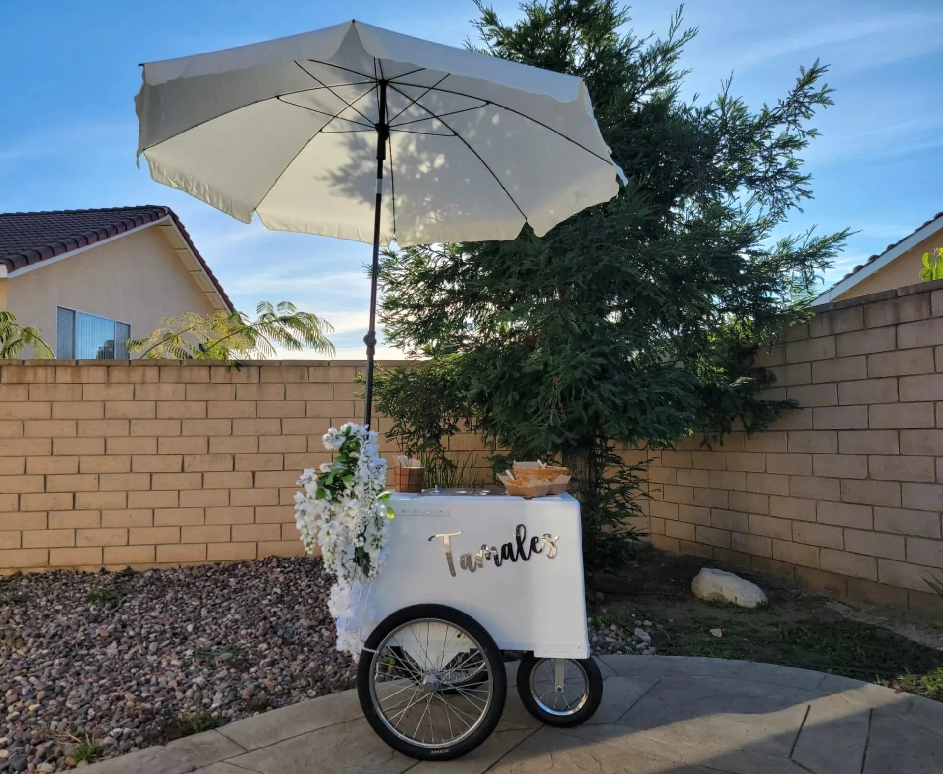 Tall Standard Popsicle Cart with Bicycle Tires & Sleek Chrome Trim - Image 2