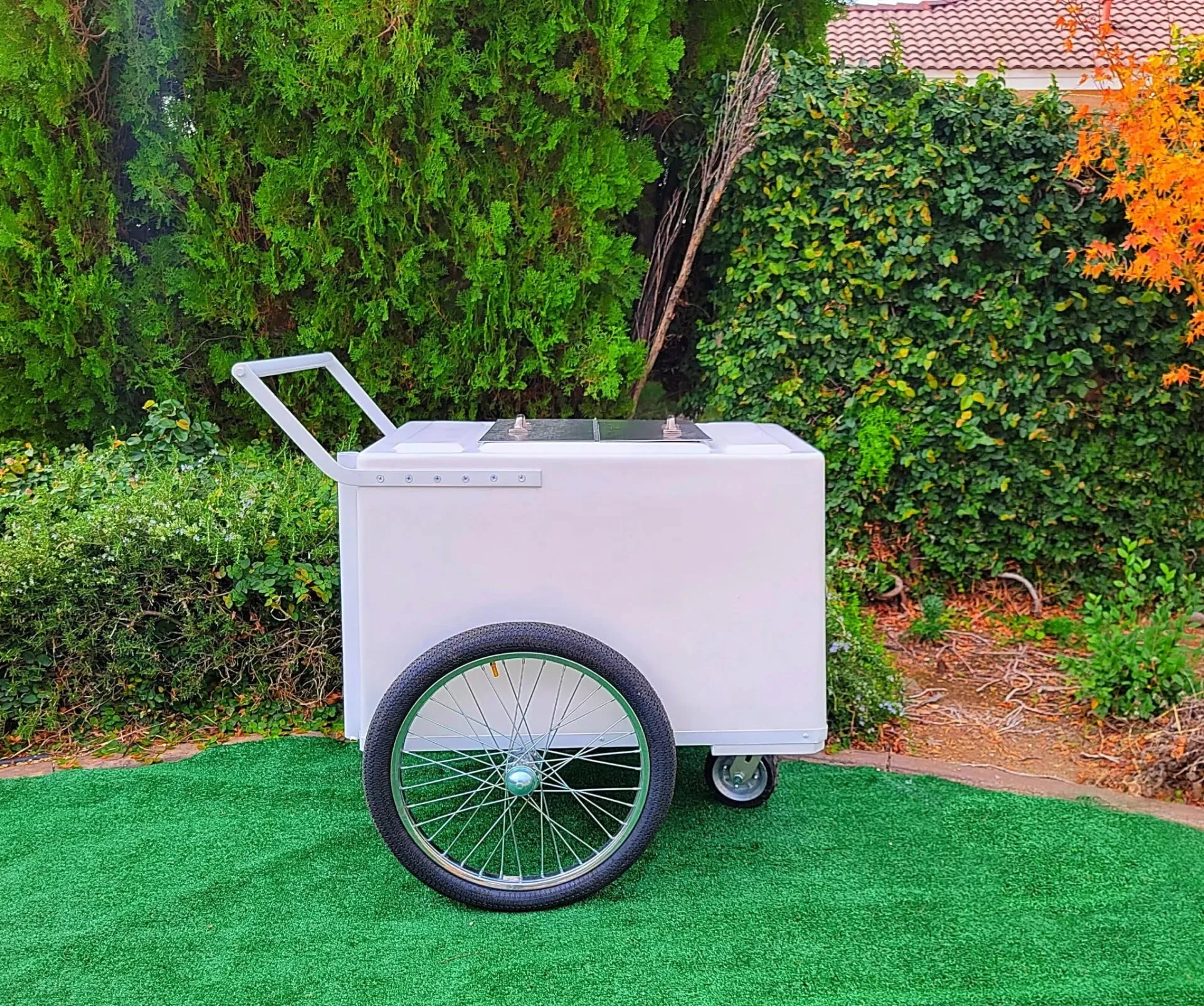 Standard Popsicle Cart with White Painted Trim – Compact & Versatile - Image 3