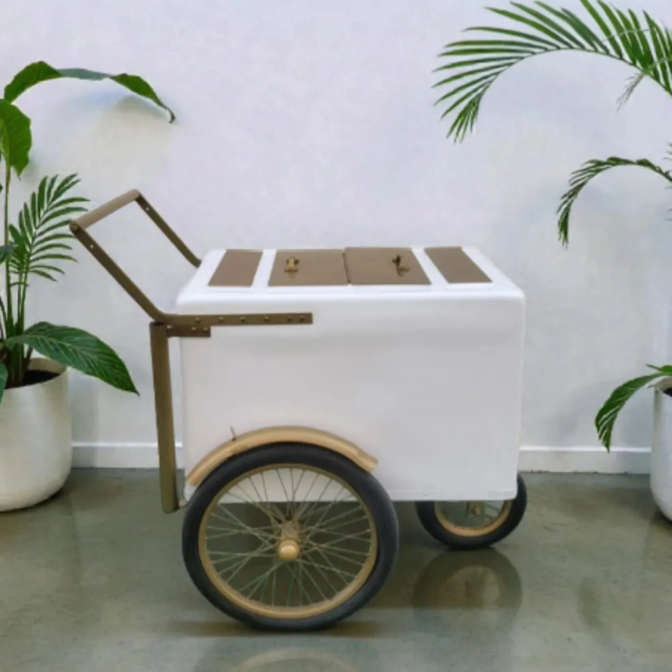 Tall Standard Size Popsicle Cart with Gold Trim and Bicycle Tires and 3 top openings
