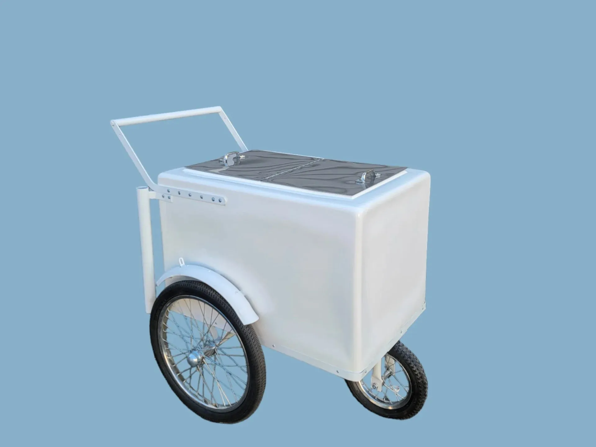Standard Size Popsicle Cart with XL Door & Sleek White Trim - Image 2