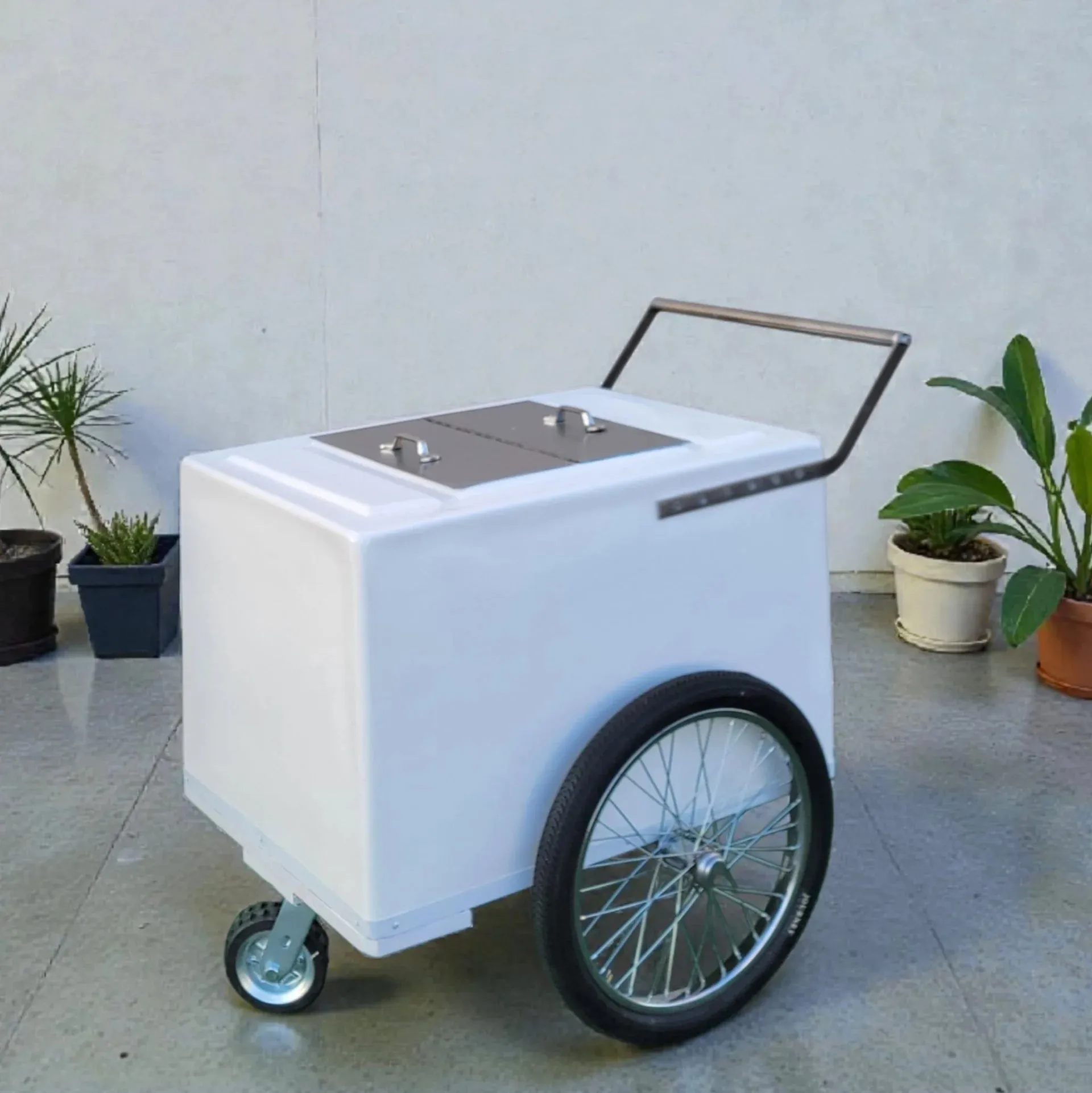 Standard Popsicle Cart with Bicycle Tires – Chrome Trim