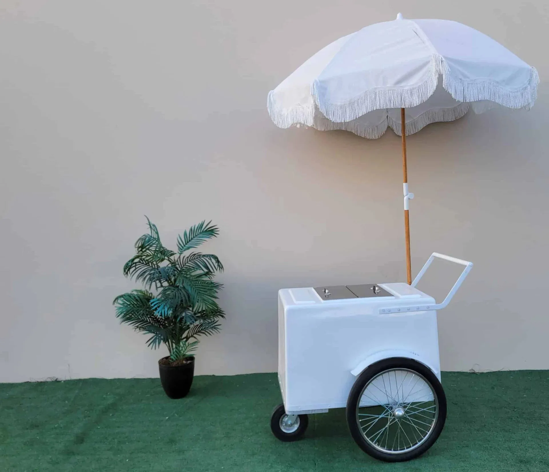 Popsicle Cart all white with Fenders Standard Size – Sleek & Functional - Image 3