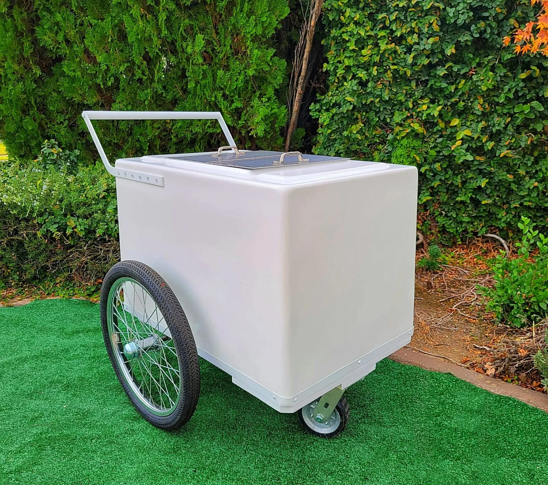 Standard Popsicle Cart with White Painted Trim – Compact & Versatile - Image 4