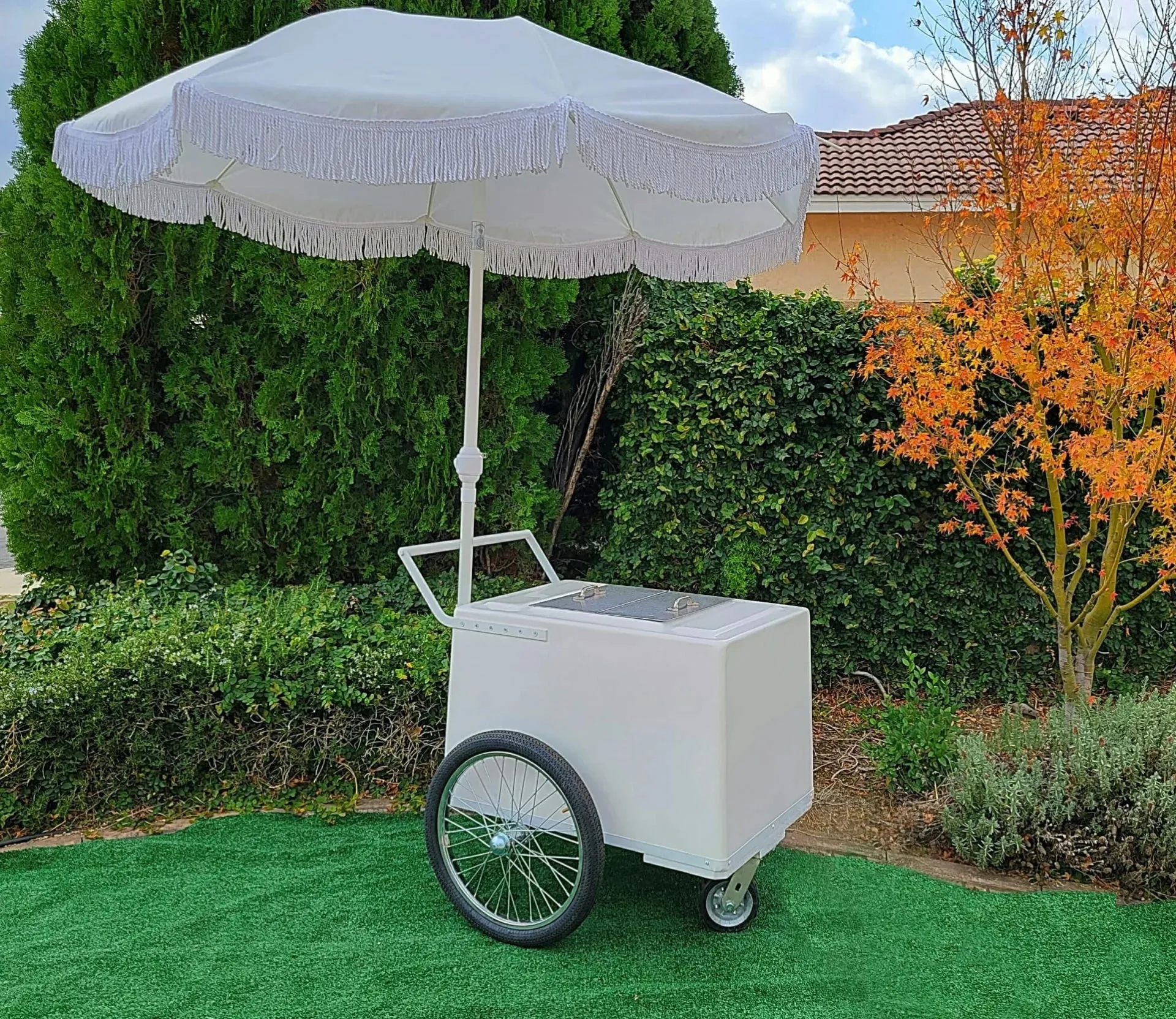 Standard Popsicle Cart with White Painted Trim – Compact & Versatile - Image 2