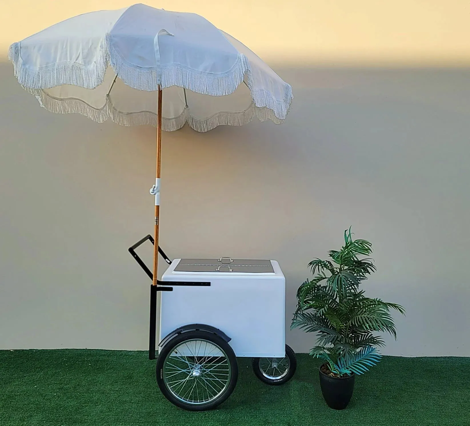 Popsicle Cart with XL Door Standard Size – Durable & Stylish - Image 2