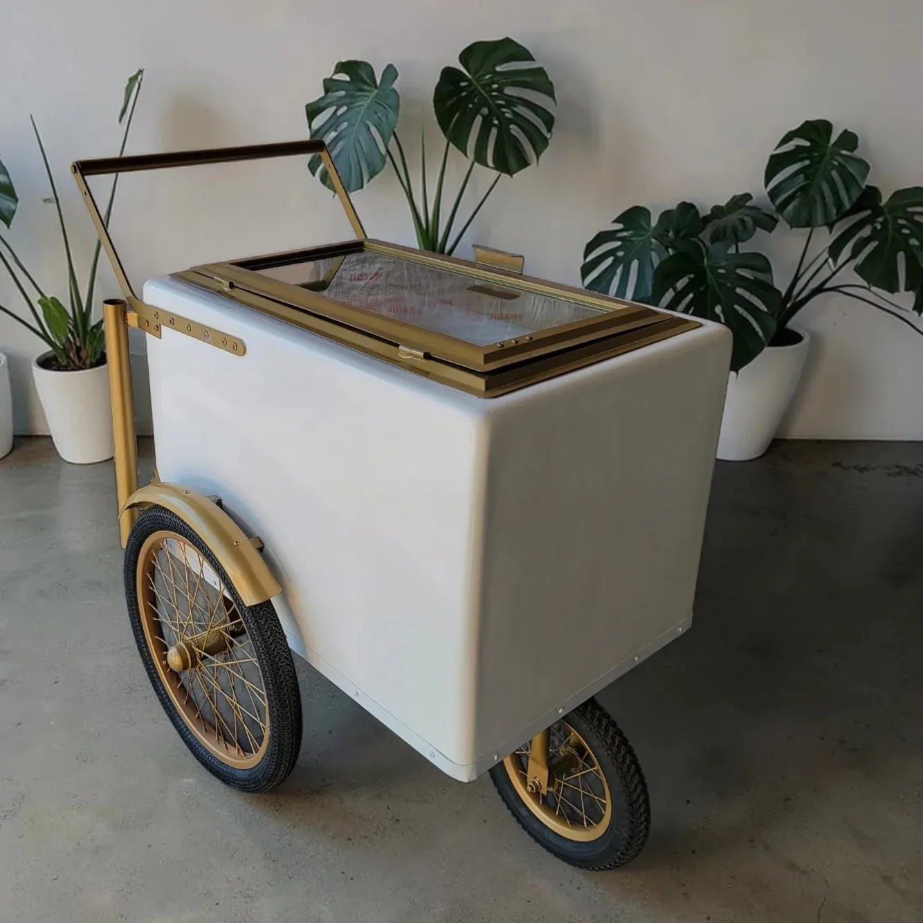 Tall Standard Size White with Gold trim Popsicle Cart with Glass Door and Bicycle Tires